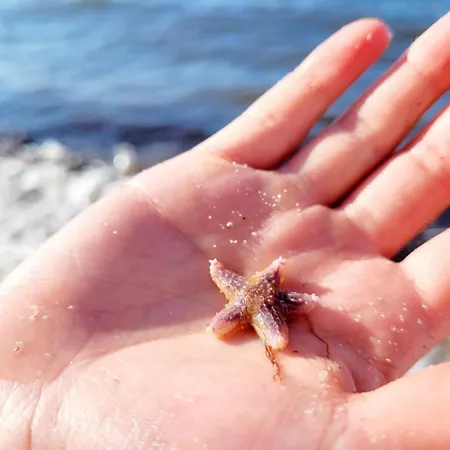 Auf Den Höfen 4 Mit Pool Und Sauna Apartment Ostseebad Kühlungsborn