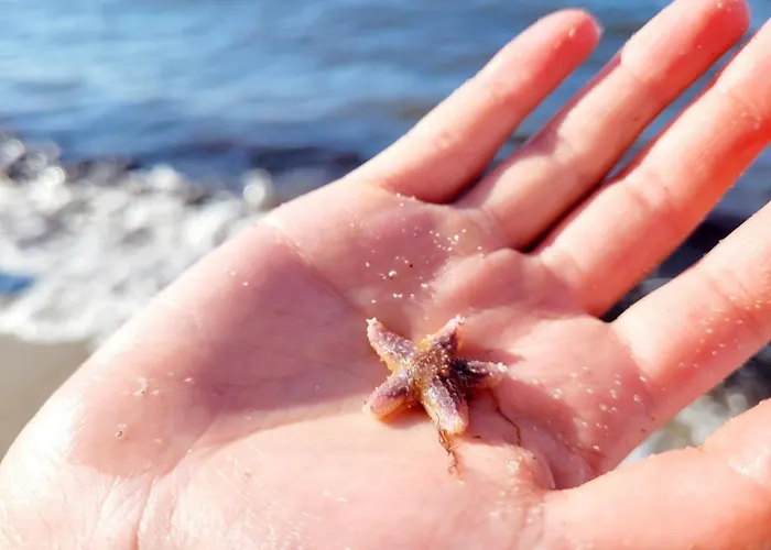 Auf Den Höfen 4 Mit Pool Und Sauna Apartment Ostseebad Kühlungsborn