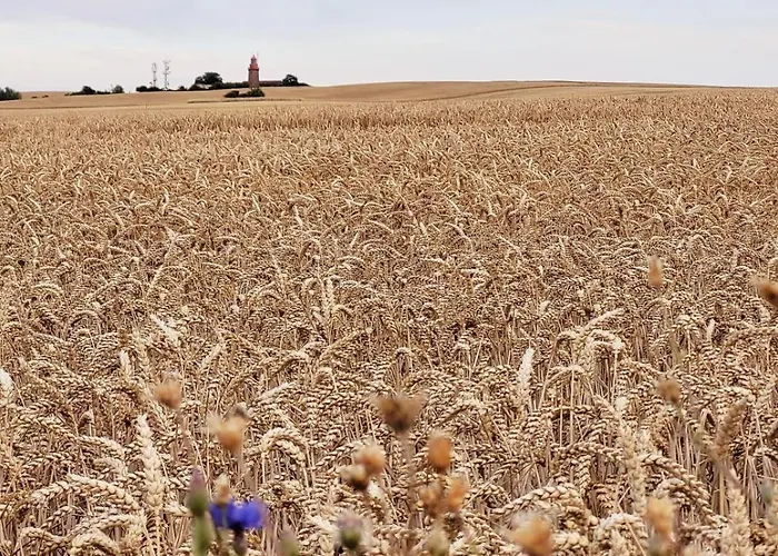 Auf Den Höfen 4 Mit Pool Und Sauna Apartment